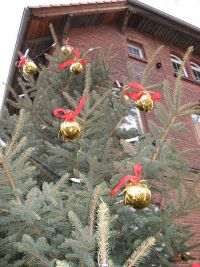 Weihnachtsbaum 2006